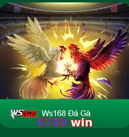 6789 win